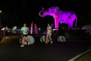 BIB: 
                            <button type="button" onclick="openModal(26543033)" class="btn btn-primary btn-sm float-right btn-popup" data-toggle="modal" data-target=".modal-high-quality">
                        <i class="fas fa-shopping-cart"></i> Add to Cart
                    </button>
                                            <button type="button" onclick="isThisMe(26543033, true)" class="btn btn-success btn-sm float-right btn-popup btn-isme hidden" data-toggle="tooltip" data-placement="bottom" title="นี่คือรูปของคุณใช่ไหม คลิกที่นี่เพื่อเอาเข้าอัลบั้ม">
                        <i class="fas fa-plus"></i> Add to album
                    </button>
                    <button type="button" onclick="isThisMe(26543033, false)" class="btn btn-warning btn-sm float-right btn-popup btn-isnotme hidden">
                        <i class="fas fa-ban"></i> Remove from album
                    </button>